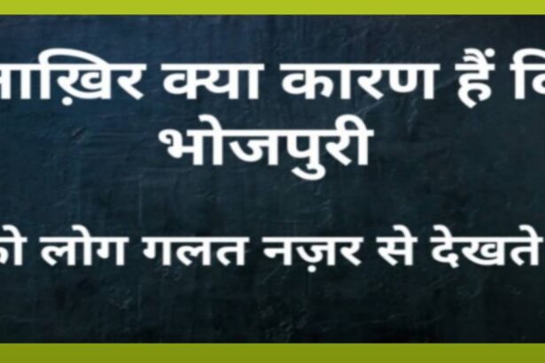 Bhojpuri Industry आखिर इतना बदनाम क्यों हैं