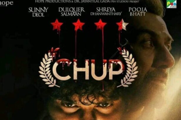 Chup- Revenge of the artist