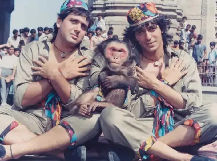 In Govinda's film Aankhen, the monkey will get more fees than the actor